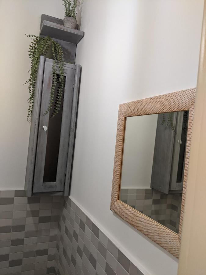 Cristian Apartment Near Old Town Temeşvar Dış mekan fotoğraf