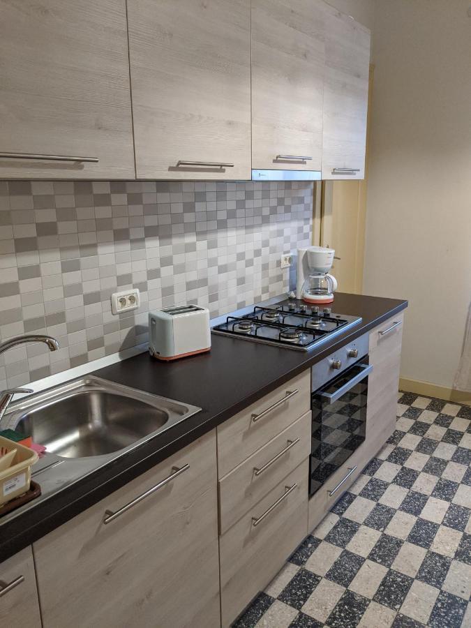 Cristian Apartment Near Old Town Temeşvar Dış mekan fotoğraf