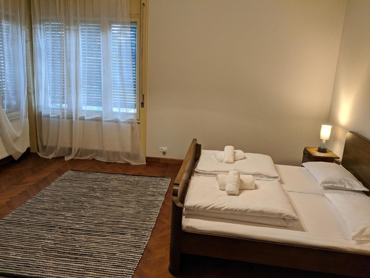 Cristian Apartment Near Old Town Temeşvar Dış mekan fotoğraf