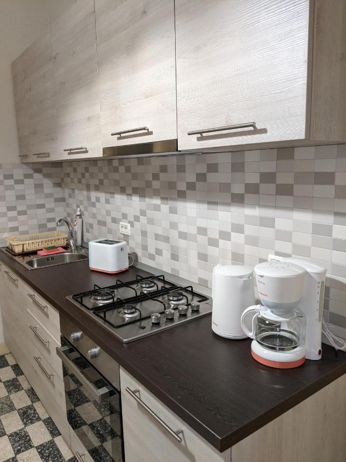 Cristian Apartment Near Old Town Temeşvar Dış mekan fotoğraf