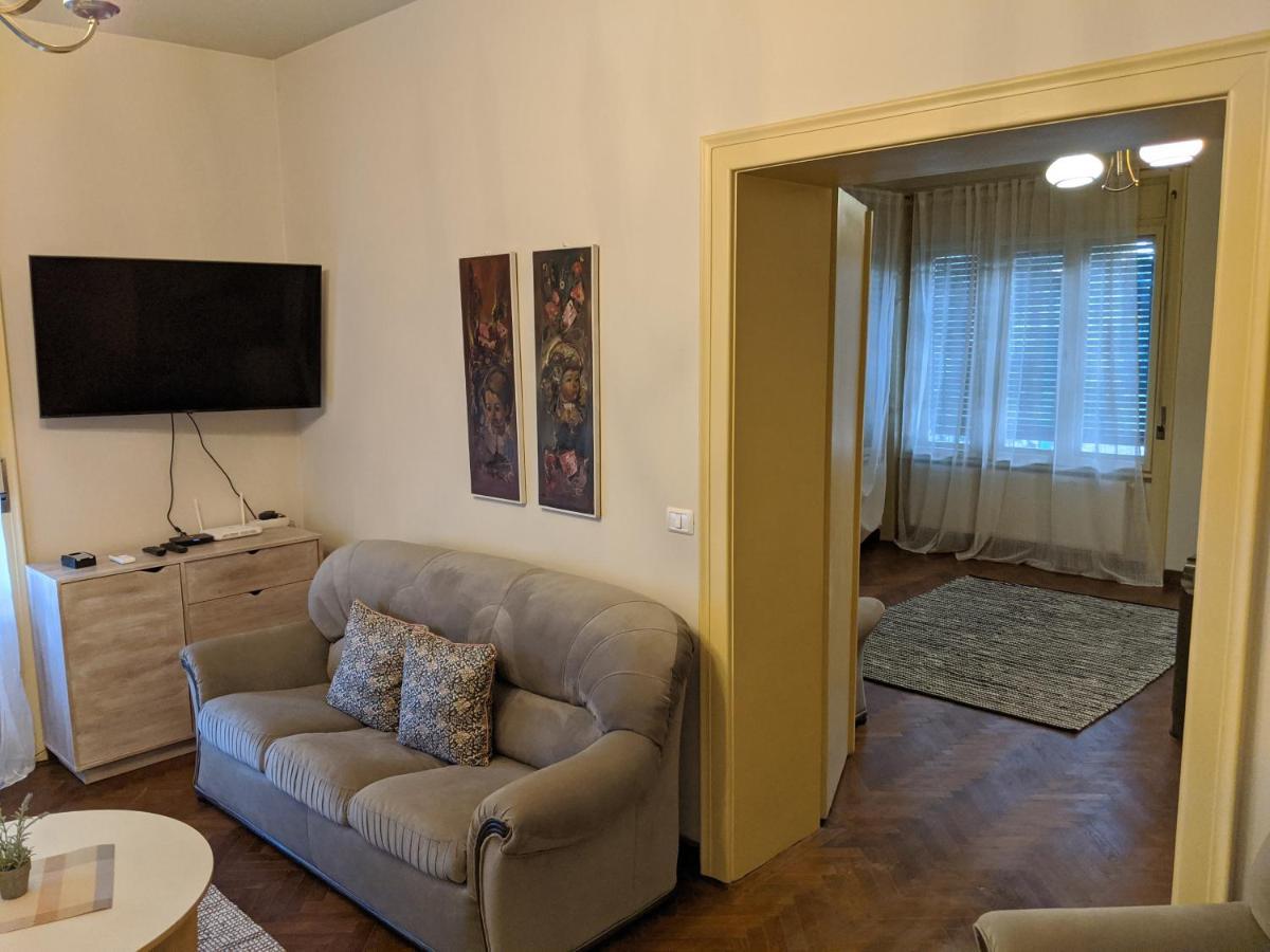 Cristian Apartment Near Old Town Temeşvar Dış mekan fotoğraf