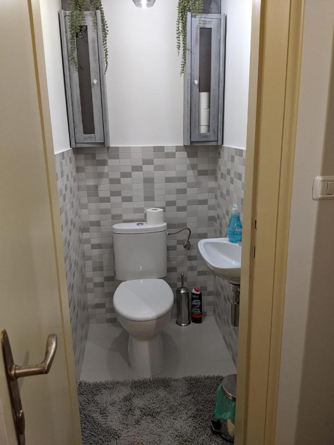 Cristian Apartment Near Old Town Temeşvar Dış mekan fotoğraf