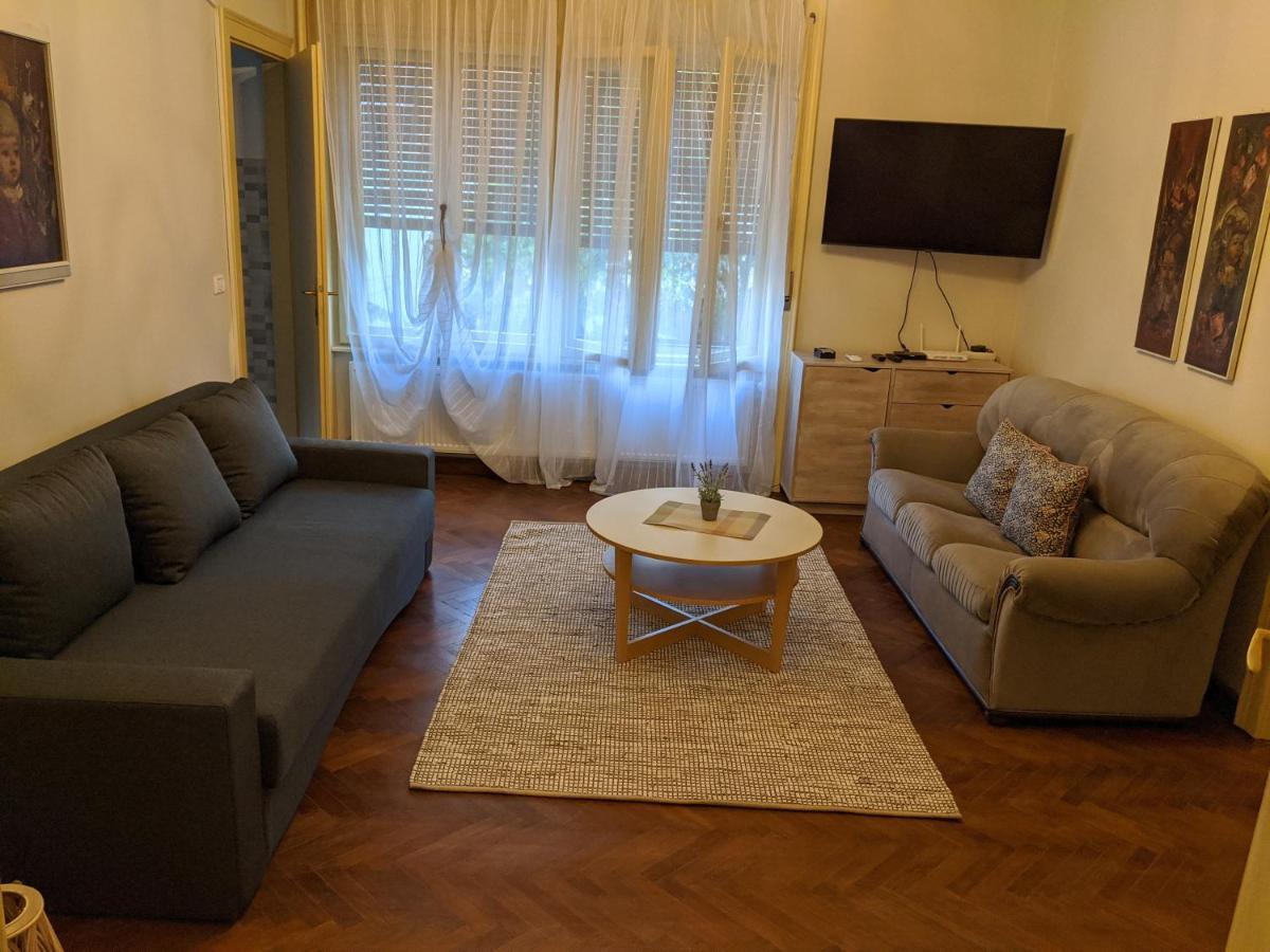 Cristian Apartment Near Old Town Temeşvar Dış mekan fotoğraf