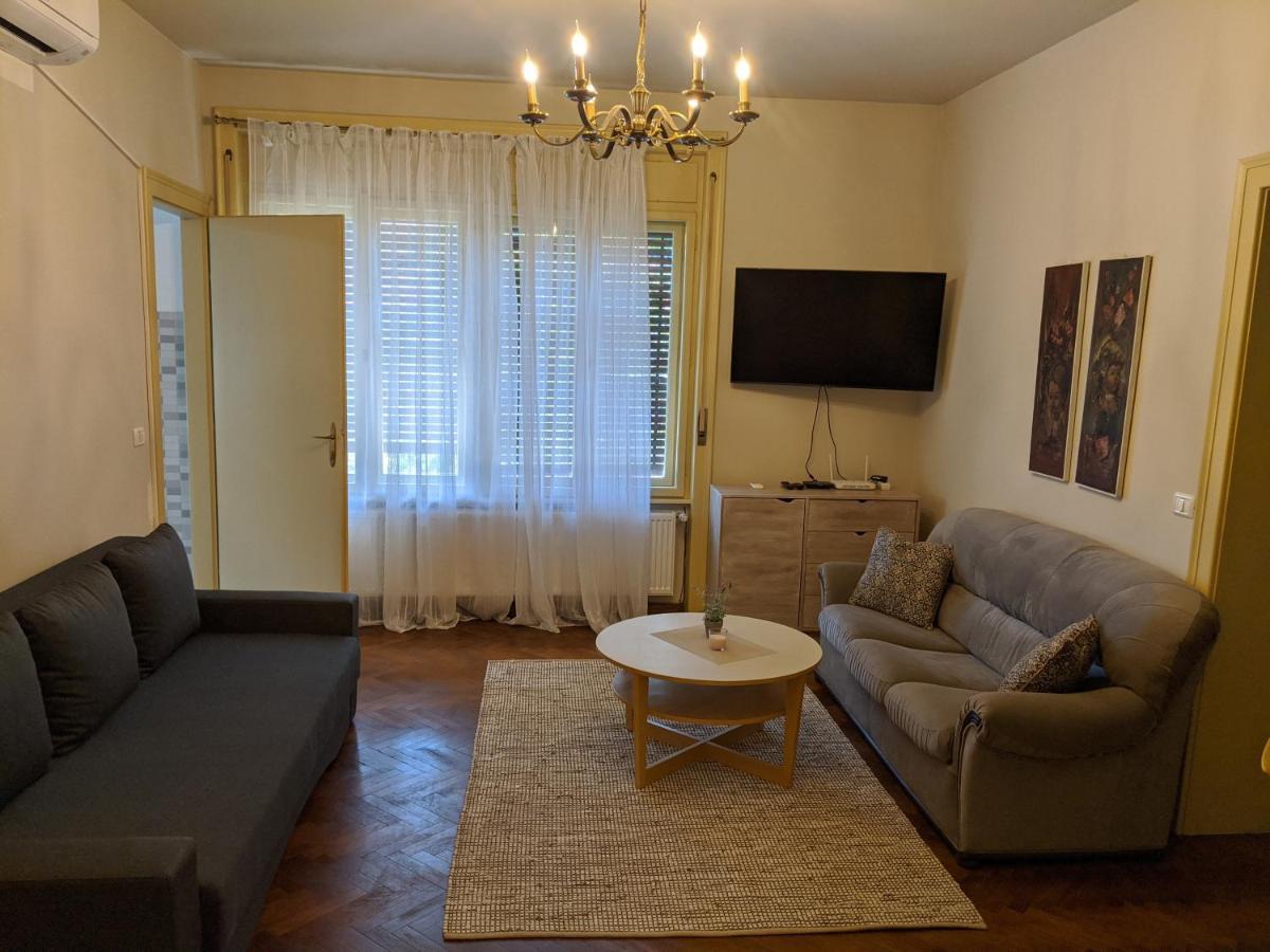 Cristian Apartment Near Old Town Temeşvar Dış mekan fotoğraf